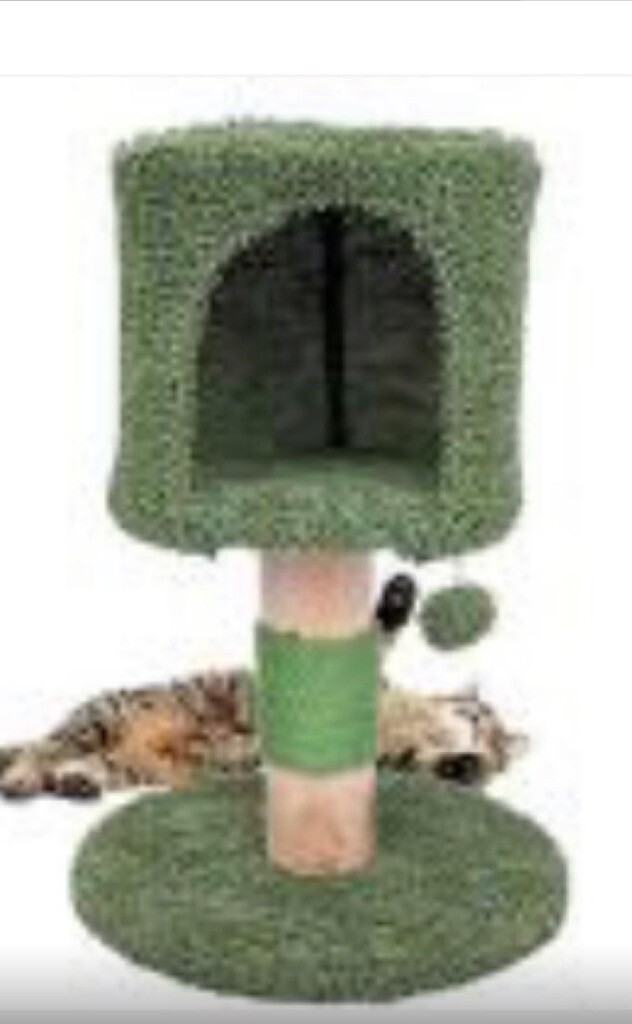 gumtree cat tree